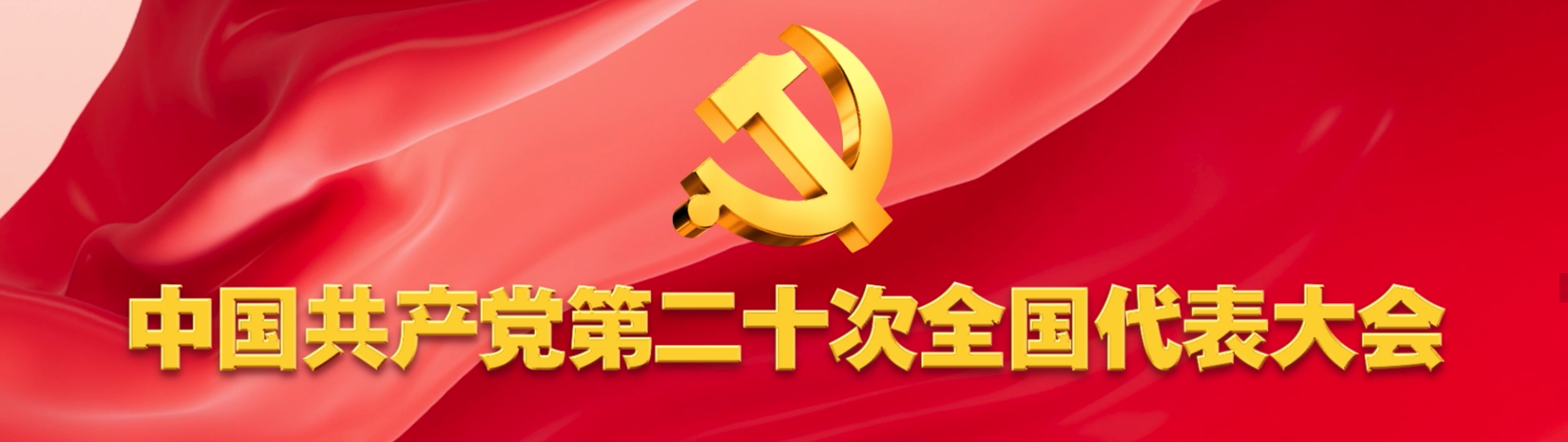 中国共产党第二十次代表大会